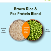 Olena EVOLVE Plant Protein - Image 2